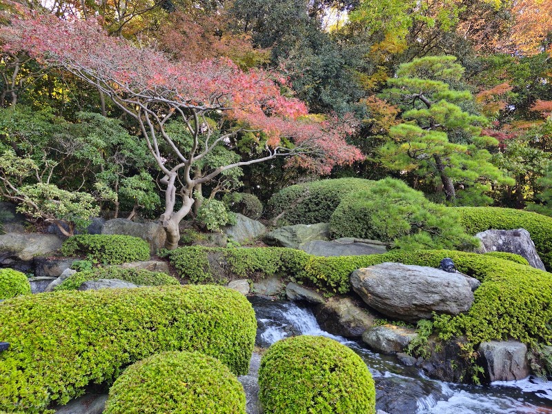 大濠公園日本庭園(福岡)