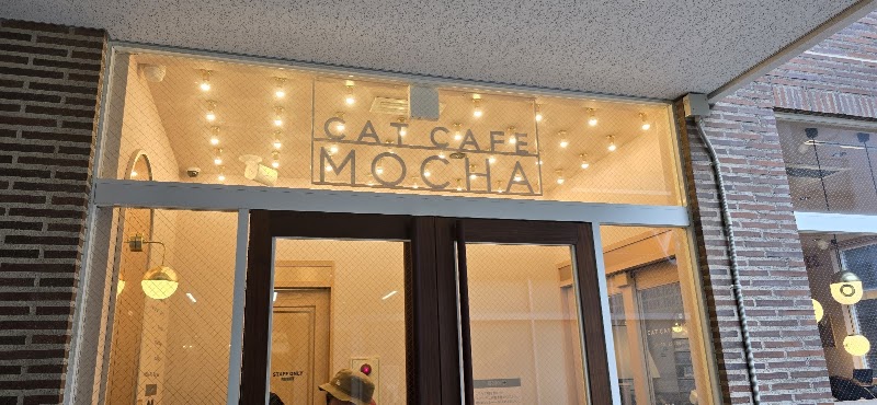 猫カフェMOCHA 天神大名店（福岡）