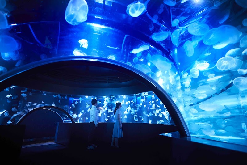 京都水族館（京都）