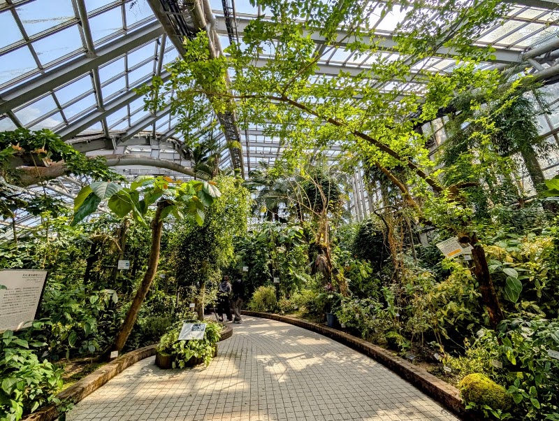 京都府立植物園(京都)
