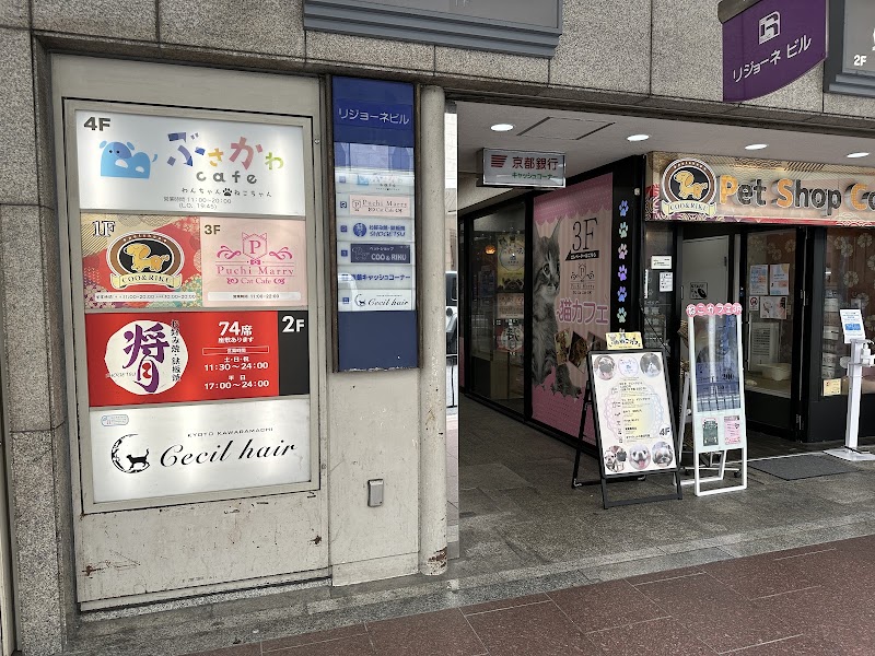 ぶさかわカフェ(犬猫・河原町)(京都)