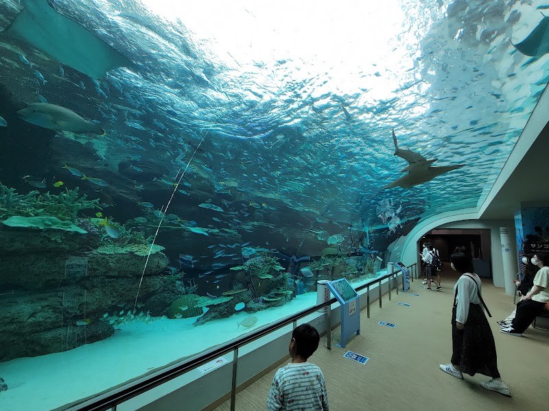名古屋港水族館（名古屋）