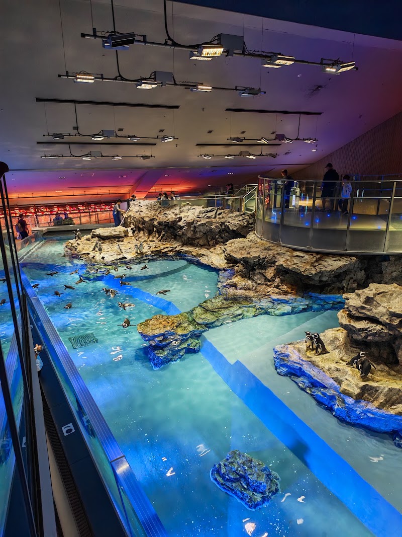 すみだ水族館(東京)