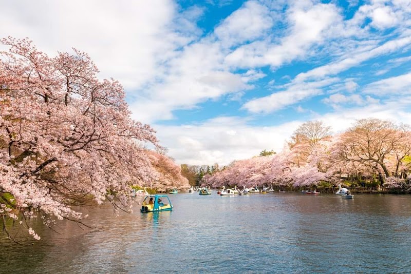 井の頭恩賜公園(東京)