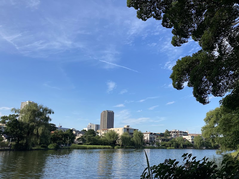 石神井公園（三宝寺池）（東京）