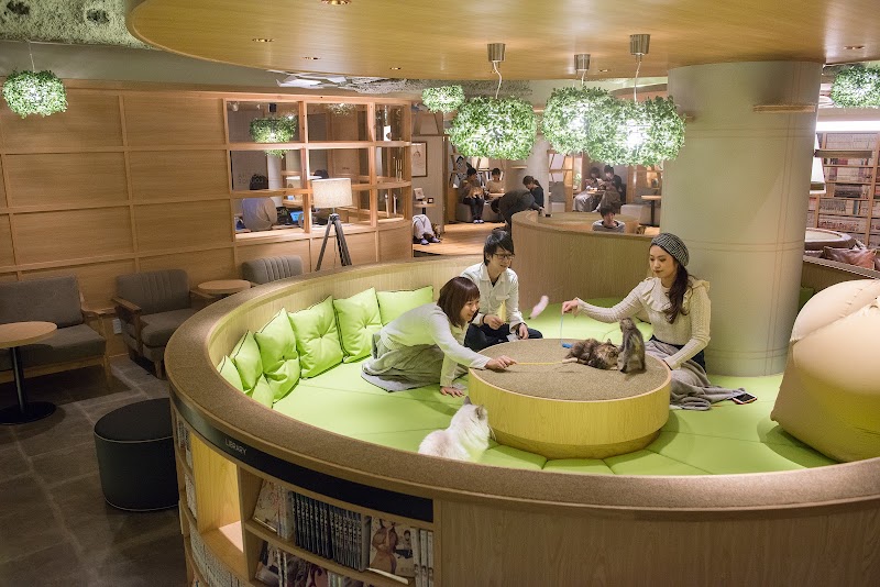 猫カフェMOCHA 新宿店（東京）