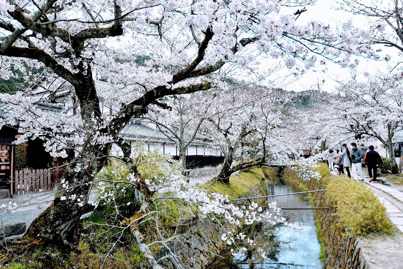 哲学の道(京都)