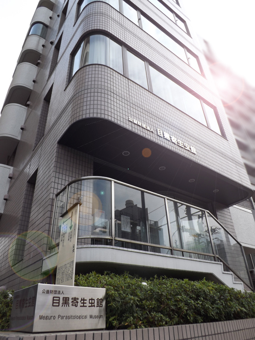 目黒寄生虫館（無料）（東京）